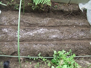 DSCF2634.JPG